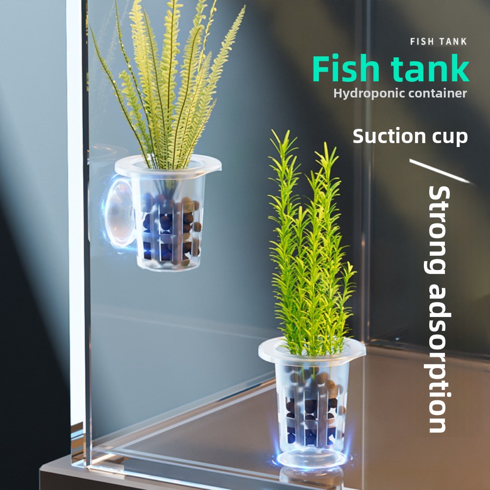 10Pcs Transparent Plant Hydrop - огляд і ціна Aquarium Plant Growth