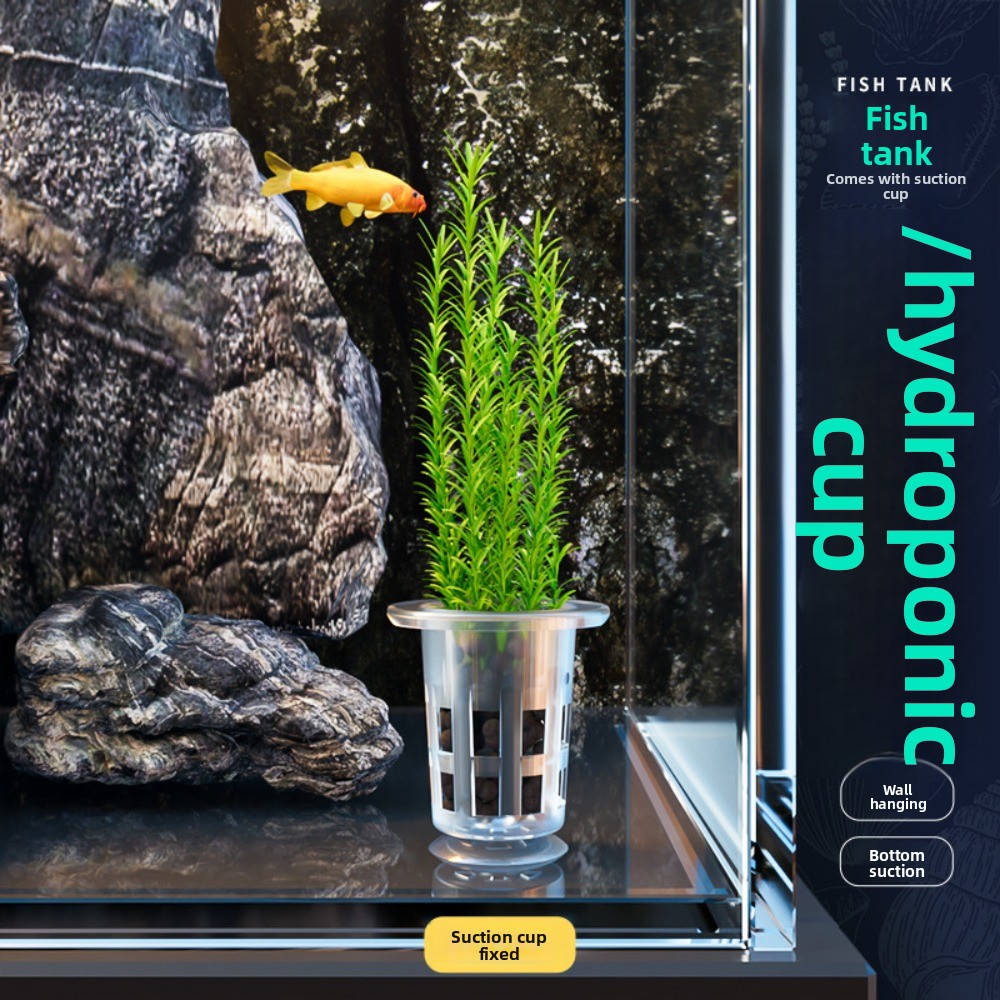 10Pcs Transparent Plant Hydrop - огляд і ціна Aquarium Plant Growth