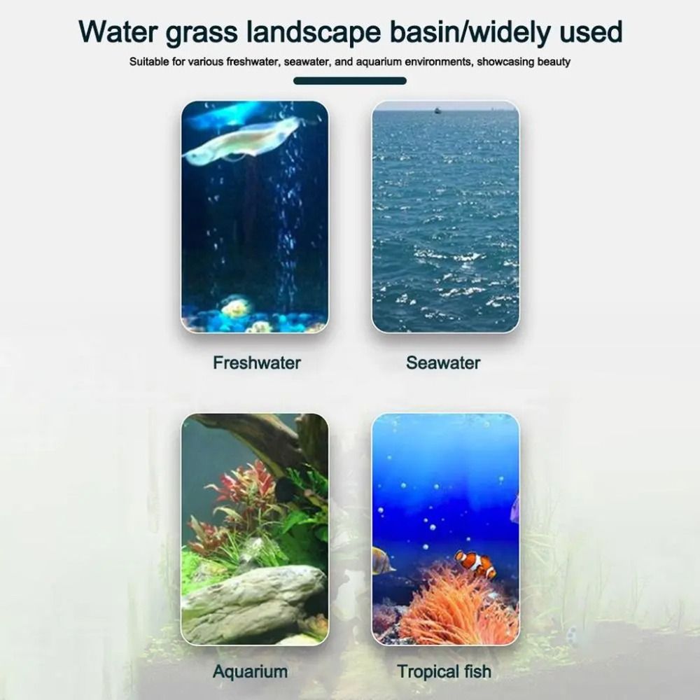 10Pcs Transparent Plant Hydrop - огляд і ціна Aquarium Plant Growth
