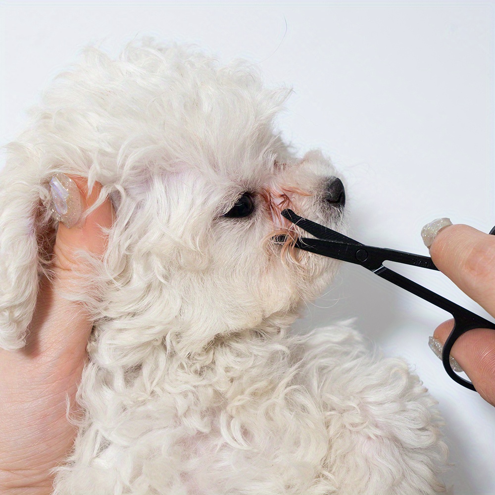Pet Facial Cleaning Comb Set R - огляд і ціна Trimming Scissor Set