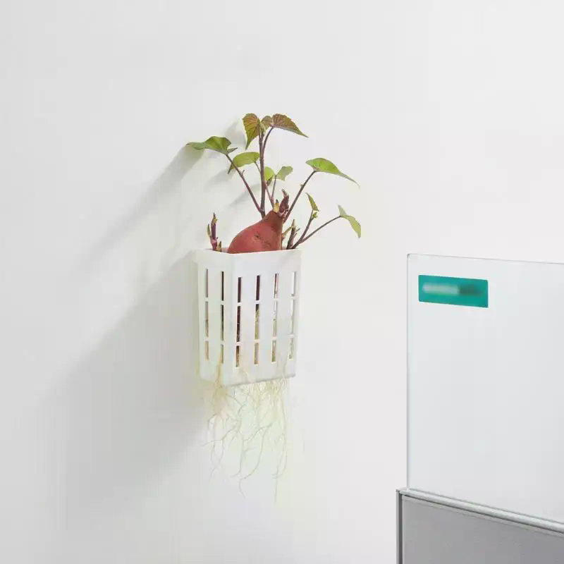 1Pcs Hydroponic Support Basket - огляд і ціна Aquarium For Planted Tank