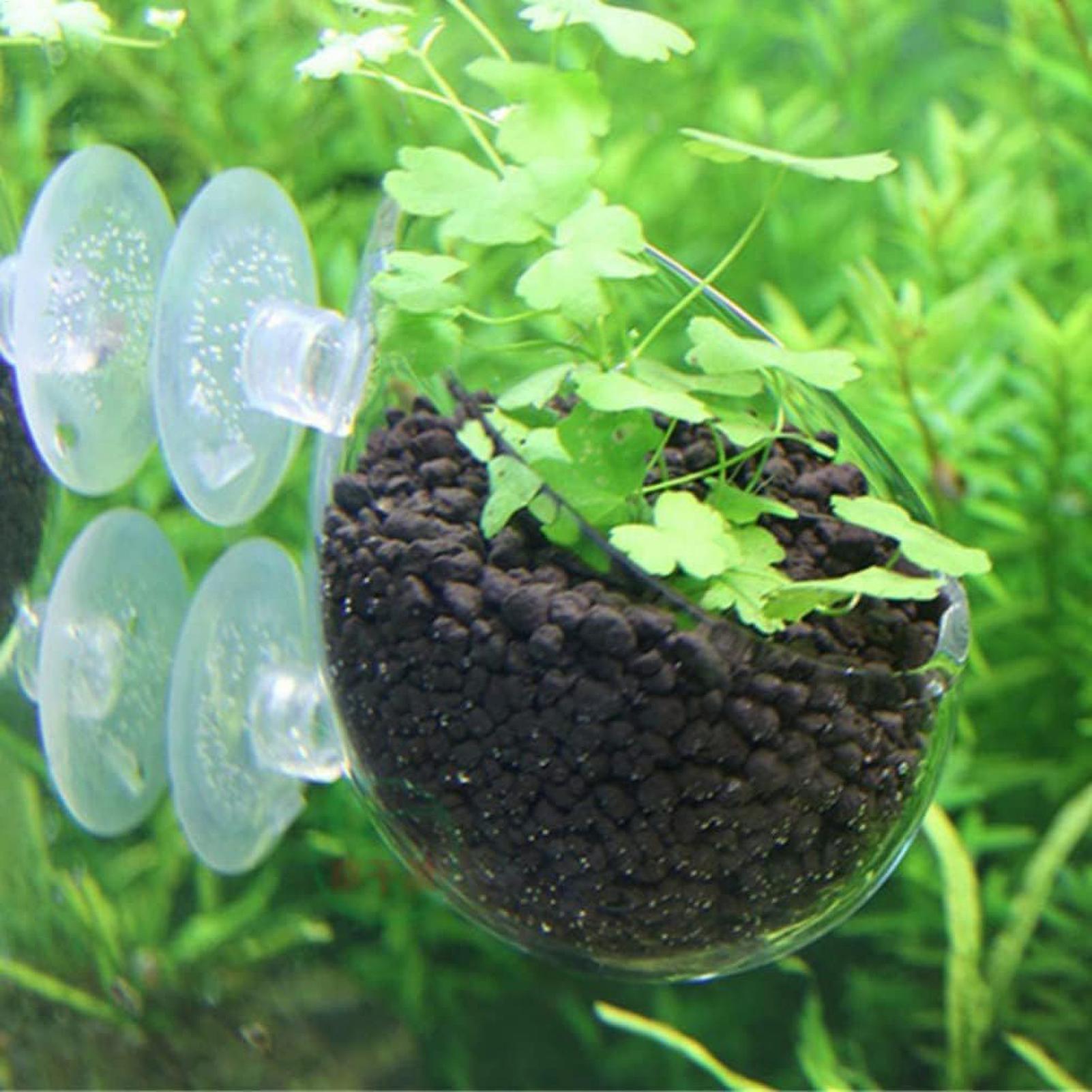 Aquarium Plant Holder Glass Aq - огляд і ціна Aquarium Plant Growth