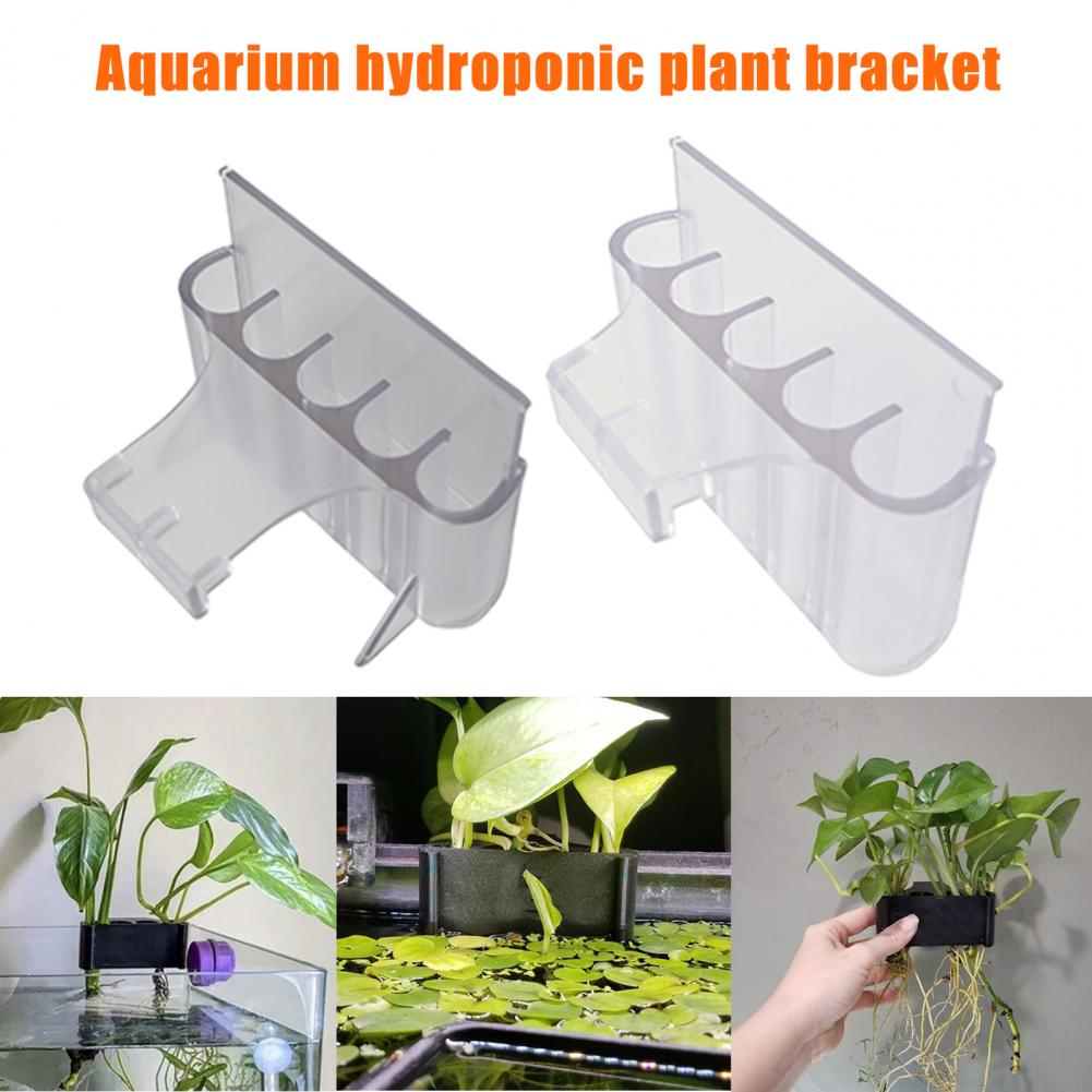 4.5/6.5cm Aquarium Plant Holde - огляд і ціна Aquarium Planted Fish Tank