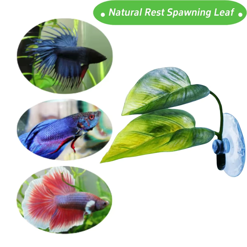Aquarium Pet Supplies Decorati - огляд і ціна Aquarium Planted Fish Tank