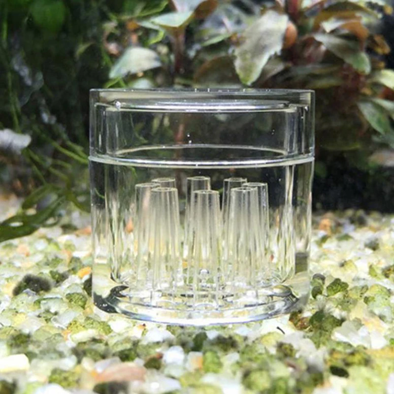 High Transparent  Aquarium Fis - огляд і ціна Aquarium Plant Design