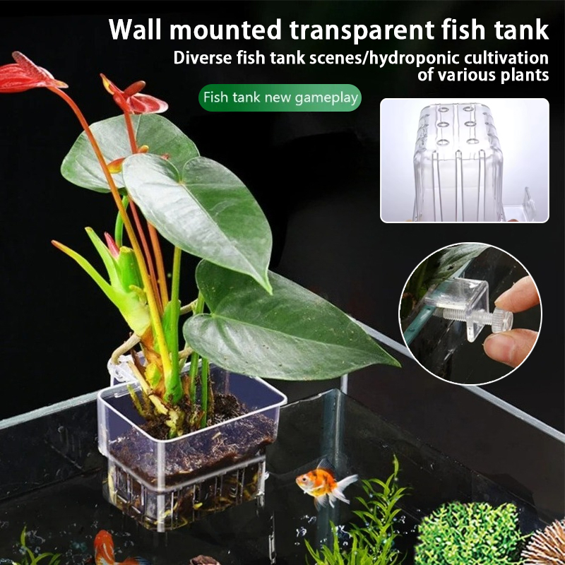 Aquarium Hanging Planter Cups  - огляд і ціна Aquarium Plant Growth