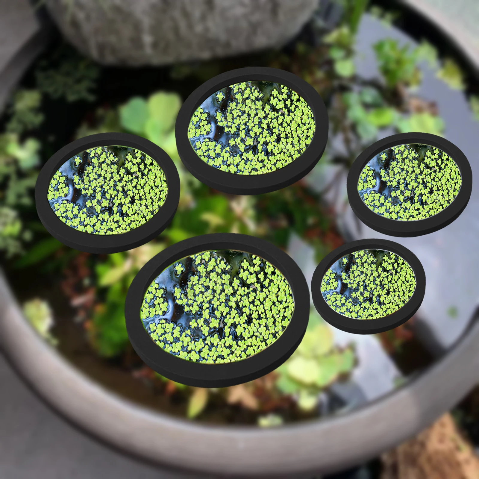 5Pcs EVA Fish Feeding Ring Aqu - огляд і ціна Aquarium Plant Order
