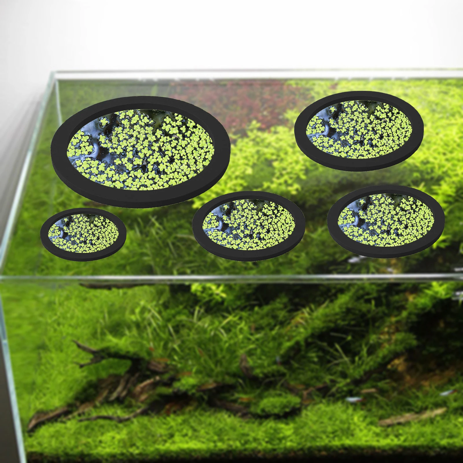 5Pcs EVA Fish Feeding Ring Aqu - огляд і ціна Aquarium Plant Order