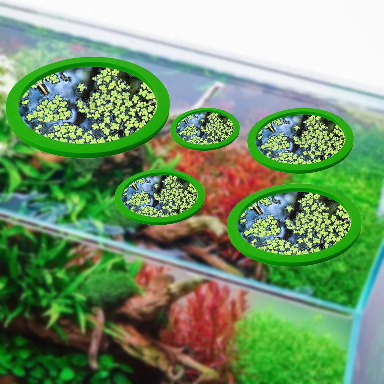 5Pcs EVA Fish Feeding Ring Aqu - огляд і ціна Aquarium Plant Order
