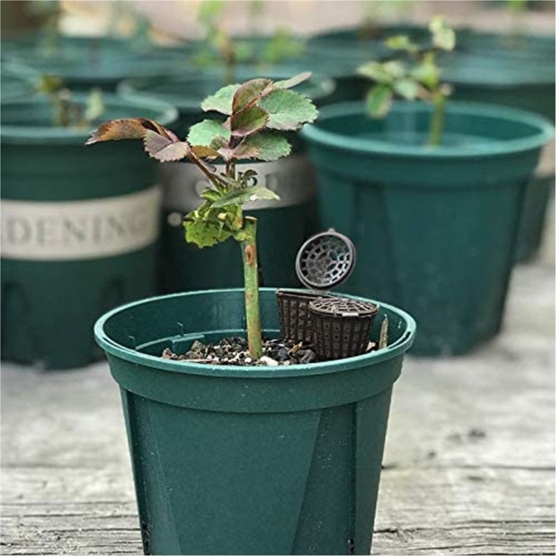 ABUH-Garden Nursery Fertilizer - огляд і ціна Aquarium Plant Fertilizer