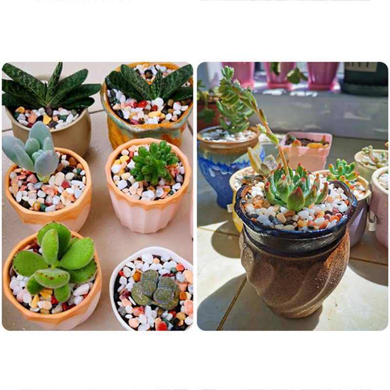 Fish Tank Bottom Sand DIY Acce - огляд і ціна Planted Aquarium With Sand