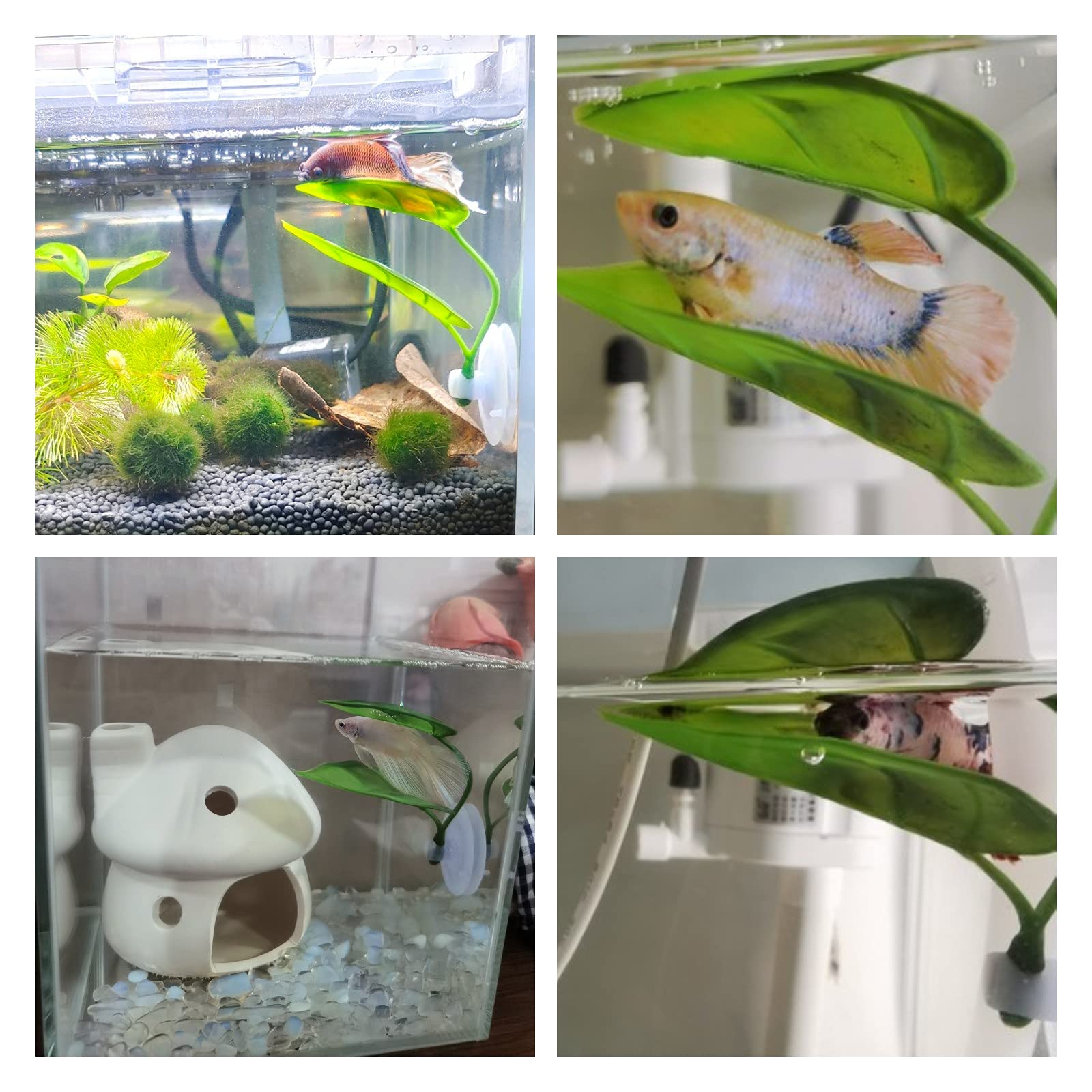 Pets Fish Tank Decor Betta Rel - огляд і ціна Aquarium Plant Design