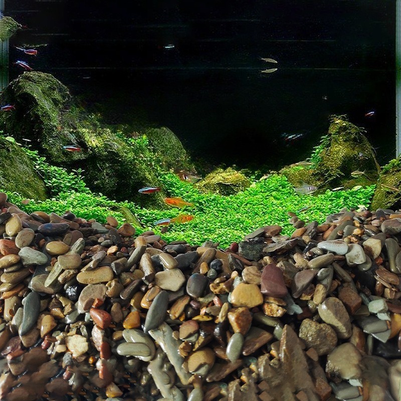 Stream Pebbles Aquarium Bottom - огляд і ціна Planted Aquarium With Sand