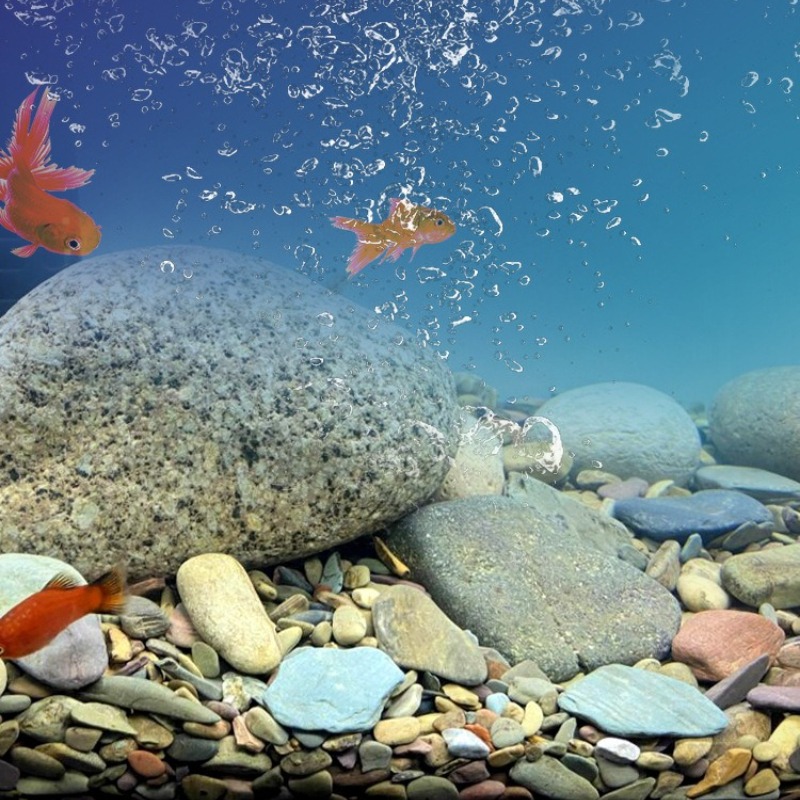 Stream Pebbles Aquarium Bottom - огляд і ціна Planted Aquarium With Sand