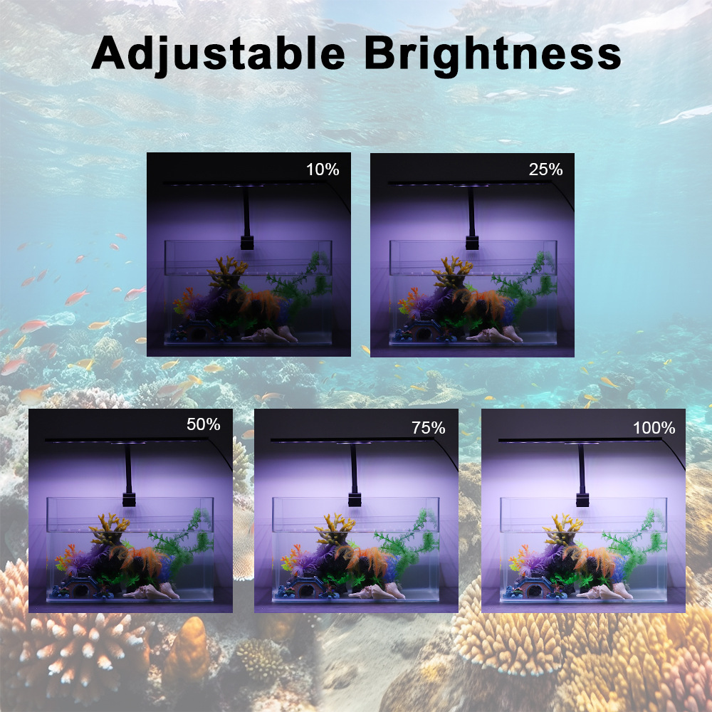 24/7 Light Cycle Fish Tank LED - огляд і ціна Planted Aquarium Cycling