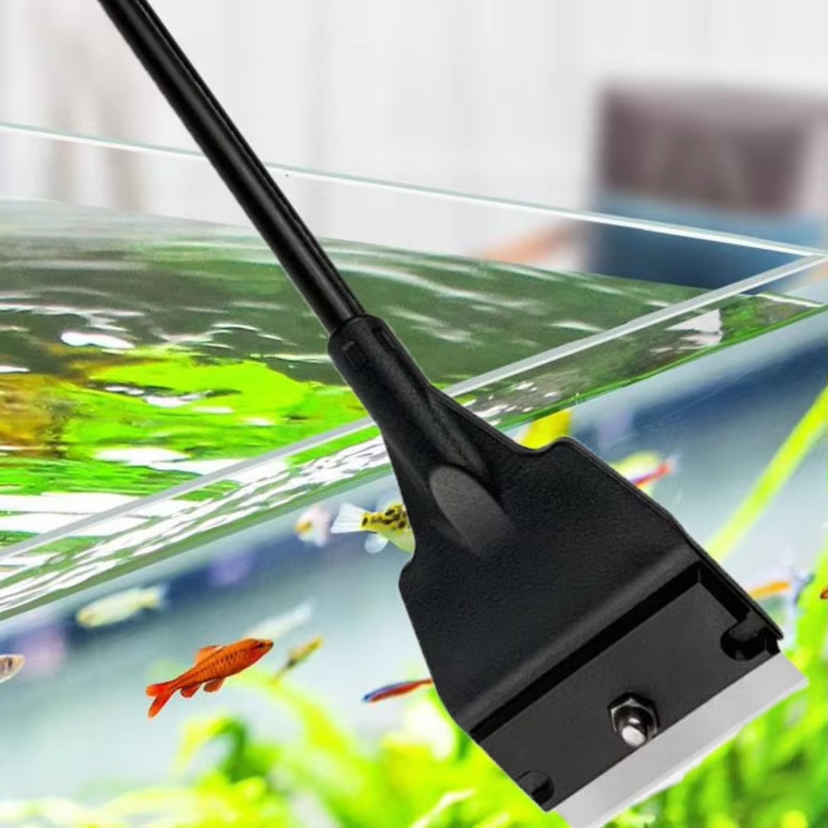 Fish Tank Glass Algae Scraper  - огляд і ціна Planted Aquarium With Sand