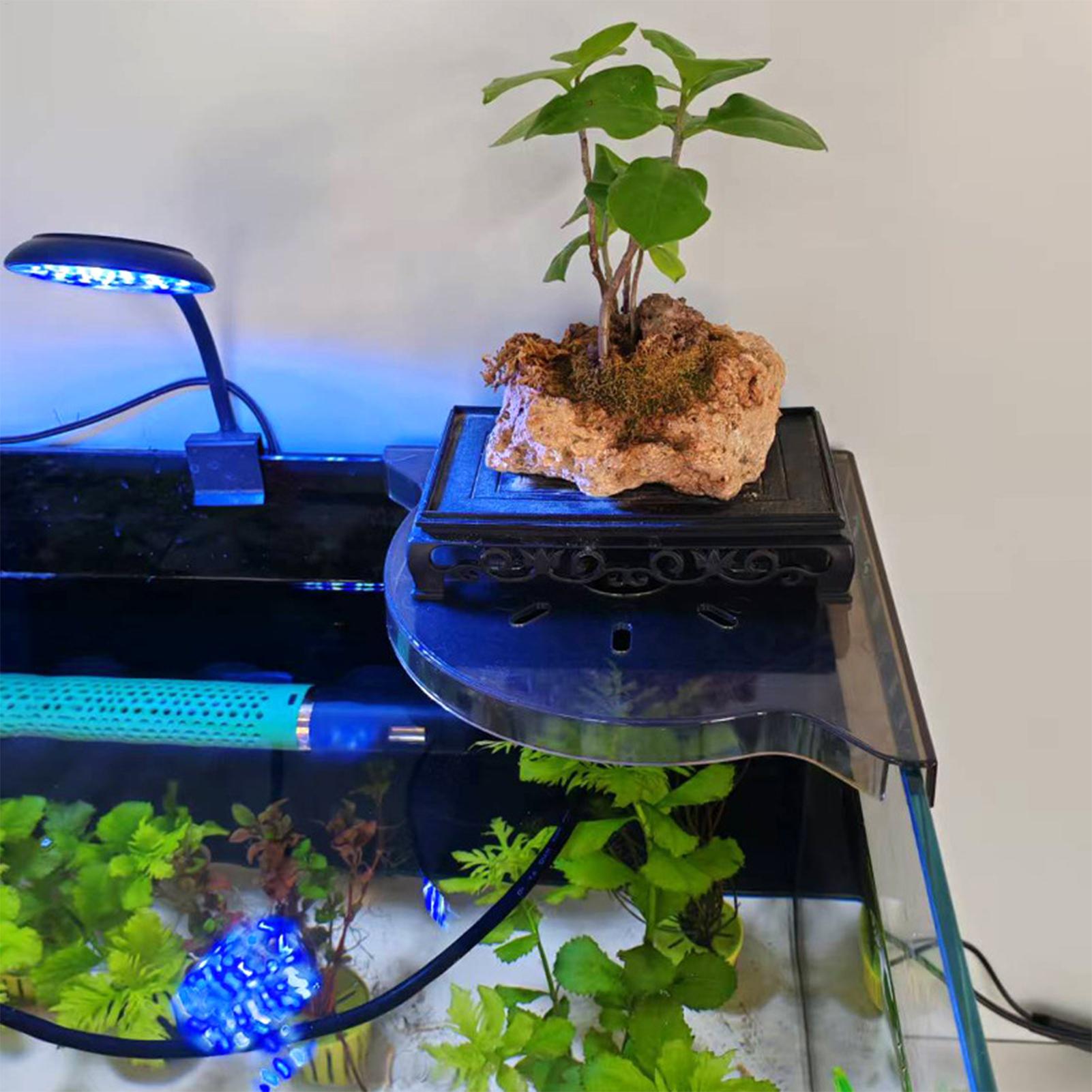 Triangle Fish Tank Corner Stor - огляд і ціна Aquarium Plant Design
