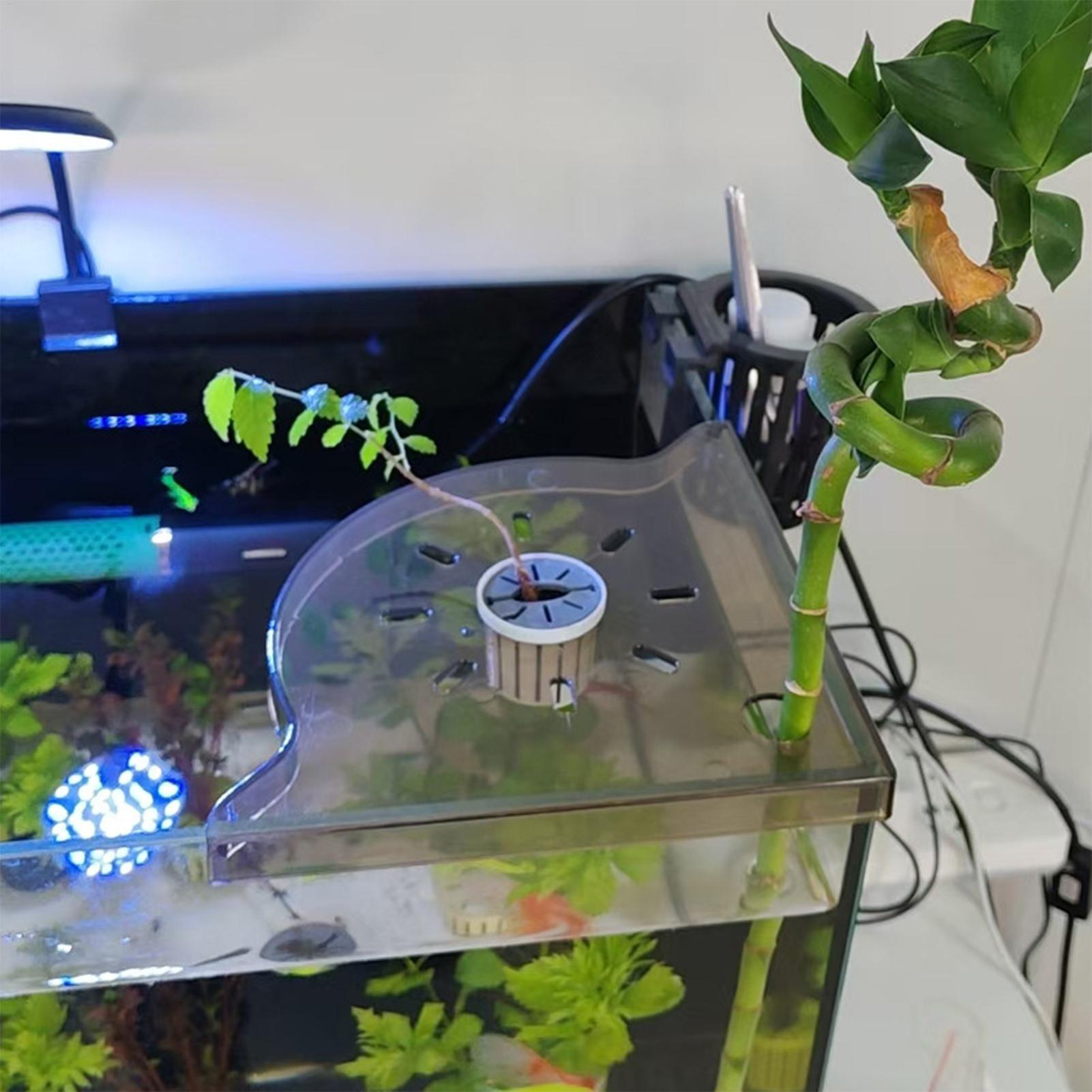 Triangle Fish Tank Corner Stor - огляд і ціна Aquarium Plant Design