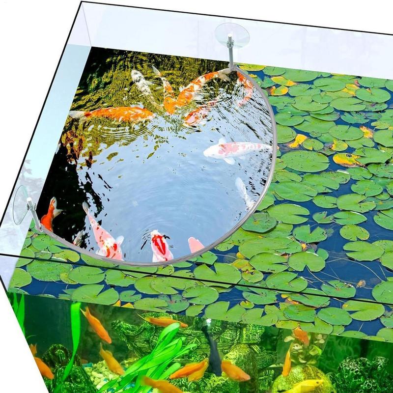 Floating Plant Corral Fish Fee - огляд і ціна Aquarium Plant Order