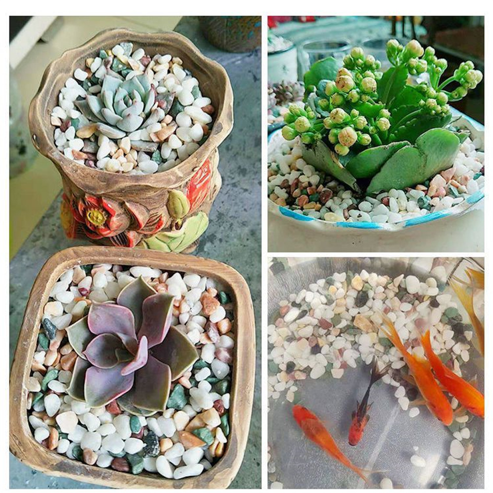 100g Natural Crystals Gravel S - огляд і ціна Planted Aquarium With Sand