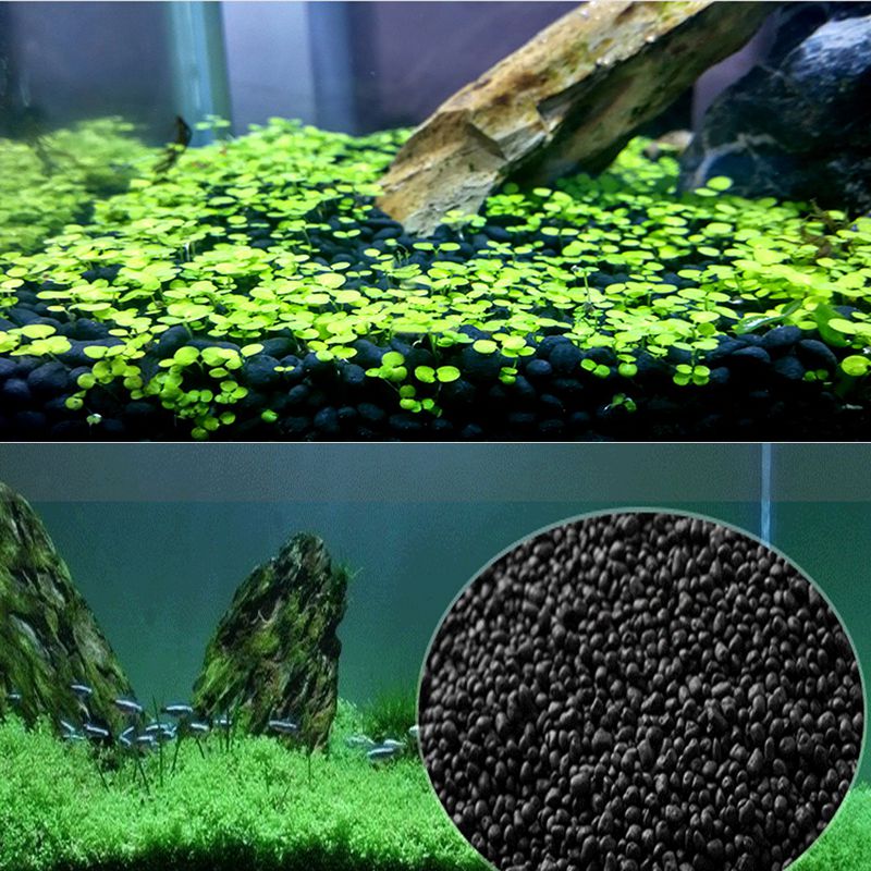 Fish  Sand Auarium Substrate 1 - огляд і ціна Planted Aquarium With Sand