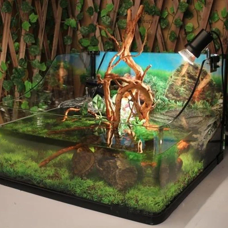 Natural Tree Trunk Driftwood A - огляд і ціна Planted Aquarium Making