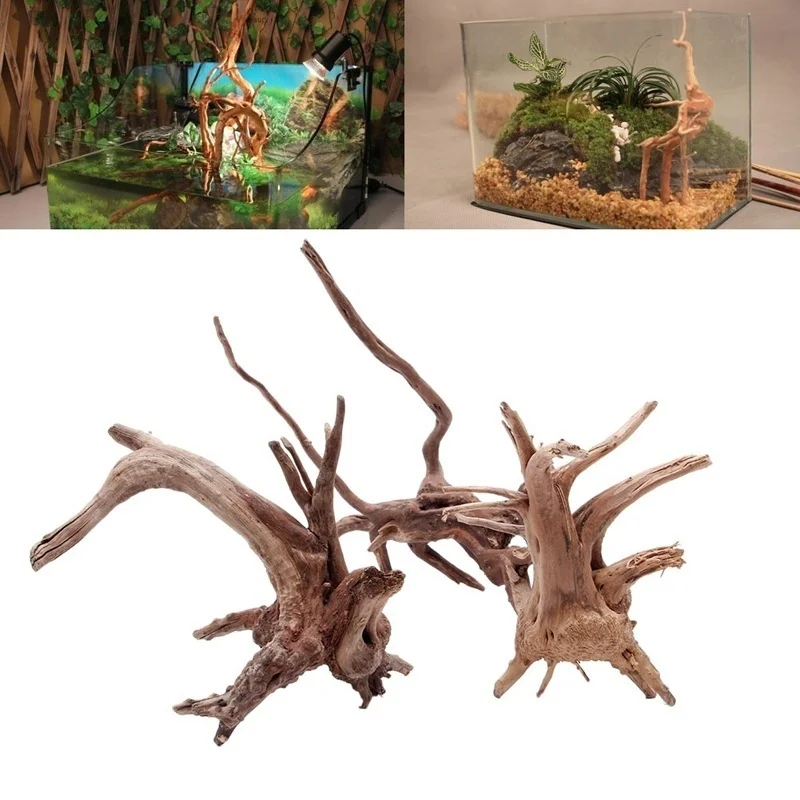 Natural Tree Trunk Driftwood A - огляд і ціна Planted Aquarium Making