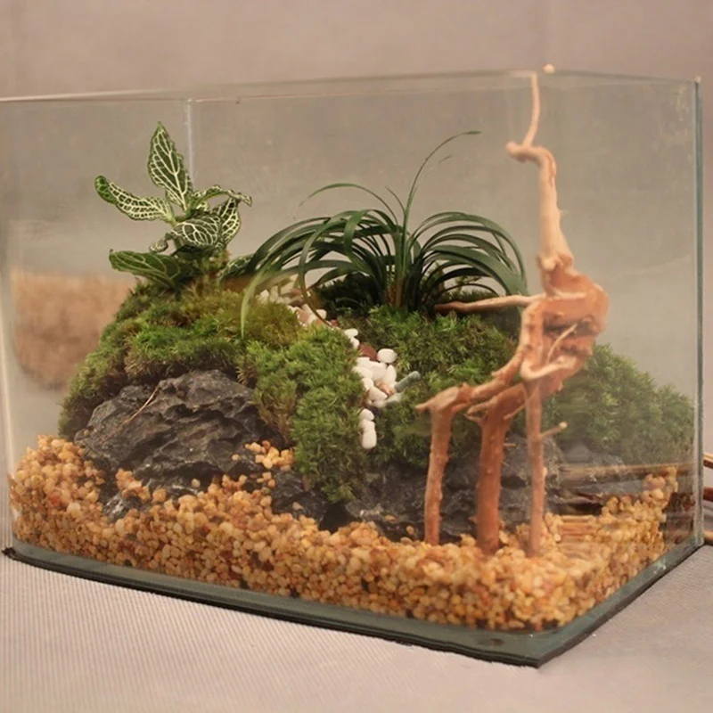 Natural Tree Trunk Driftwood A - огляд і ціна Planted Aquarium Making